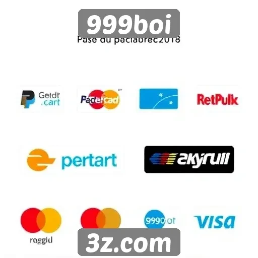 Métodos de pagamento disponíveis no 999boi